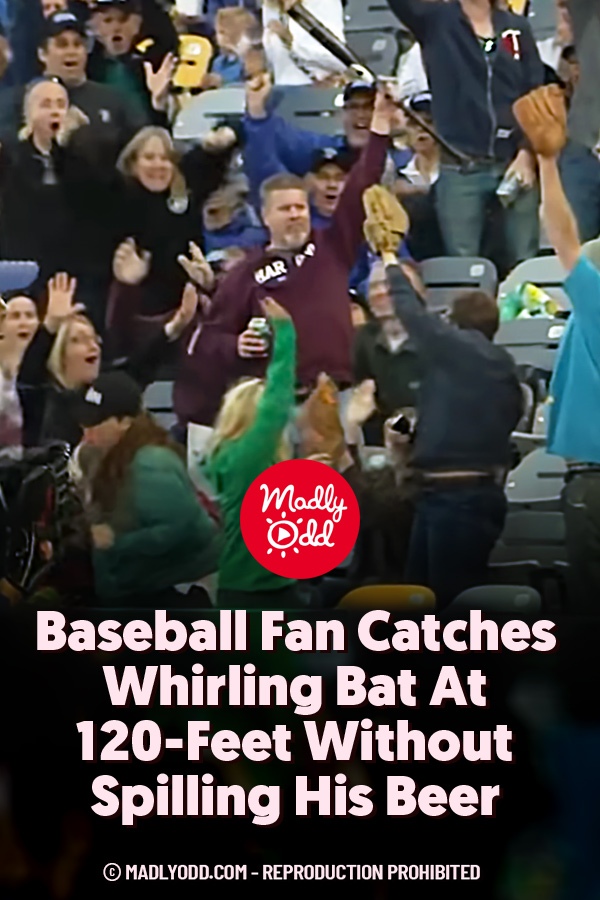 Baseball Fan Catches Whirling Bat At 120-Feet Without Spilling His Beer