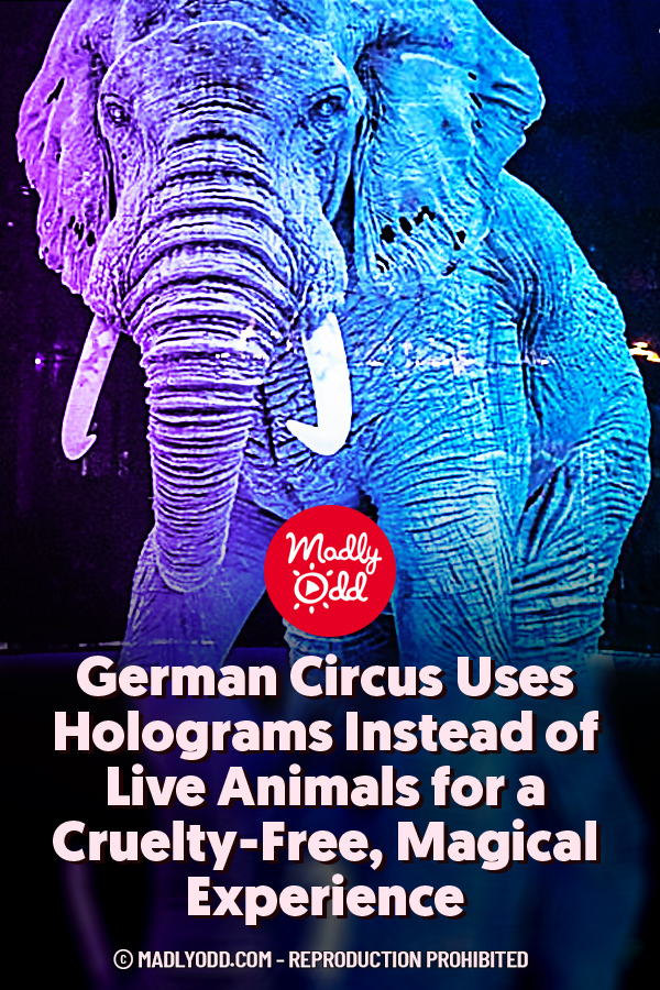 German Circus Uses Holograms Instead of Live Animals for a Cruelty-Free, Magical Experience