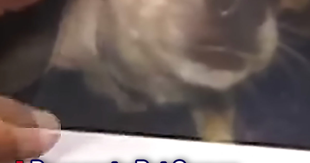 Pinterest Hidden Image