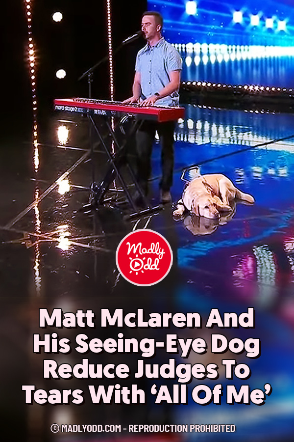 Matt McLaren And His Seeing-Eye Dog Reduce Judges To Tears With ‘All Of Me’