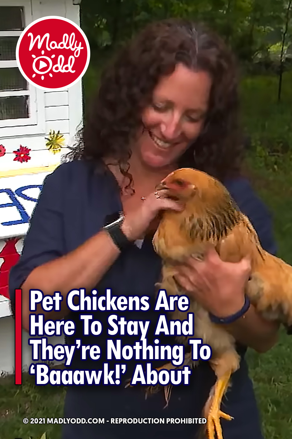 Pet Chickens Are Here To Stay And They’re Nothing To ‘Baaawk!’ About