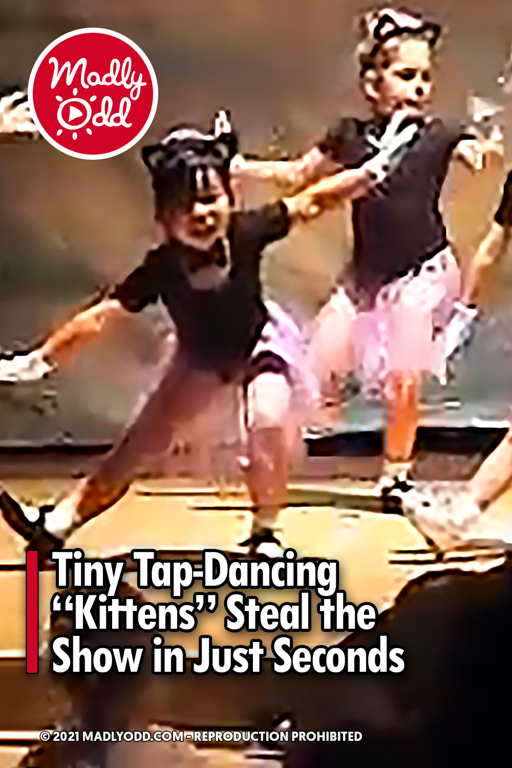 Tiny Tap-Dancing “Kittens” Steal the Show in Just Seconds
