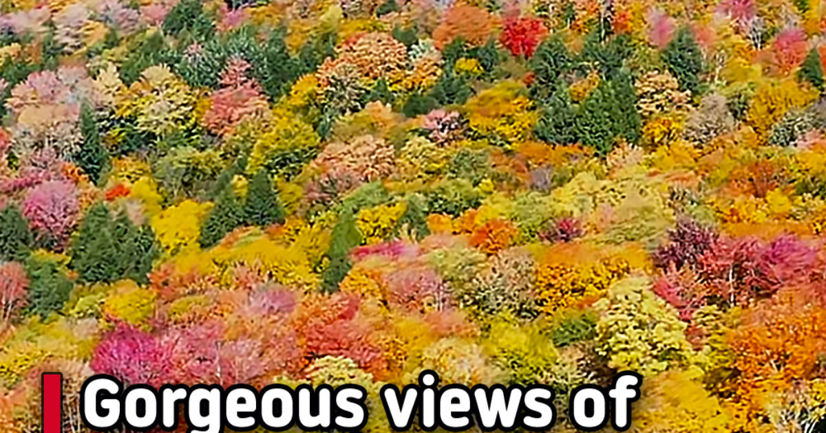 Pinterest Hidden Image