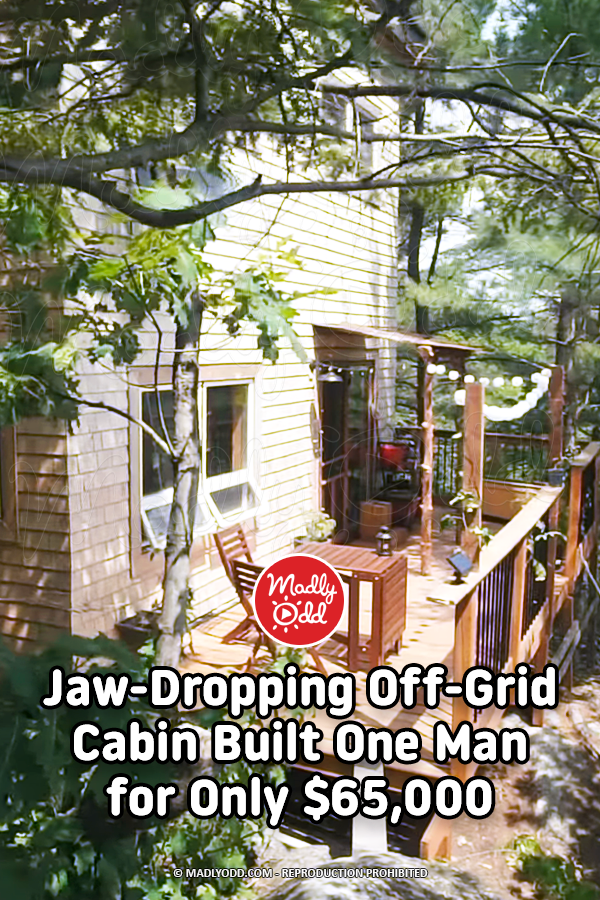 Jaw-Dropping Off-Grid Cabin Built One Man for Only $65,000