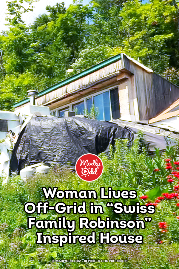 Woman Lives Off-Grid in “Swiss Family Robinson” Inspired House