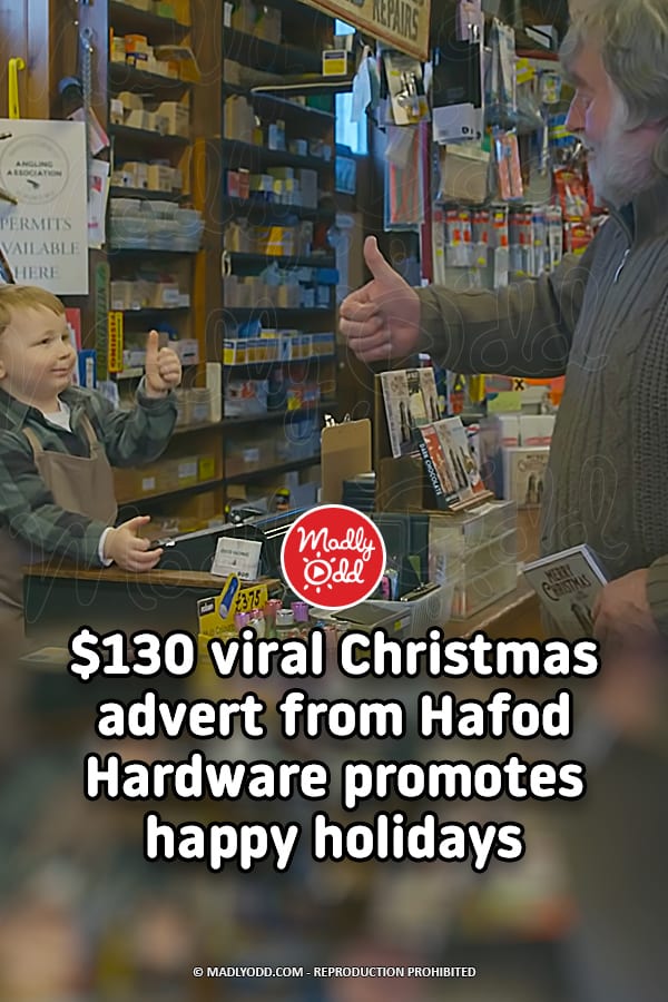 $130 viral Christmas advert from Hafod Hardware promotes happy holidays