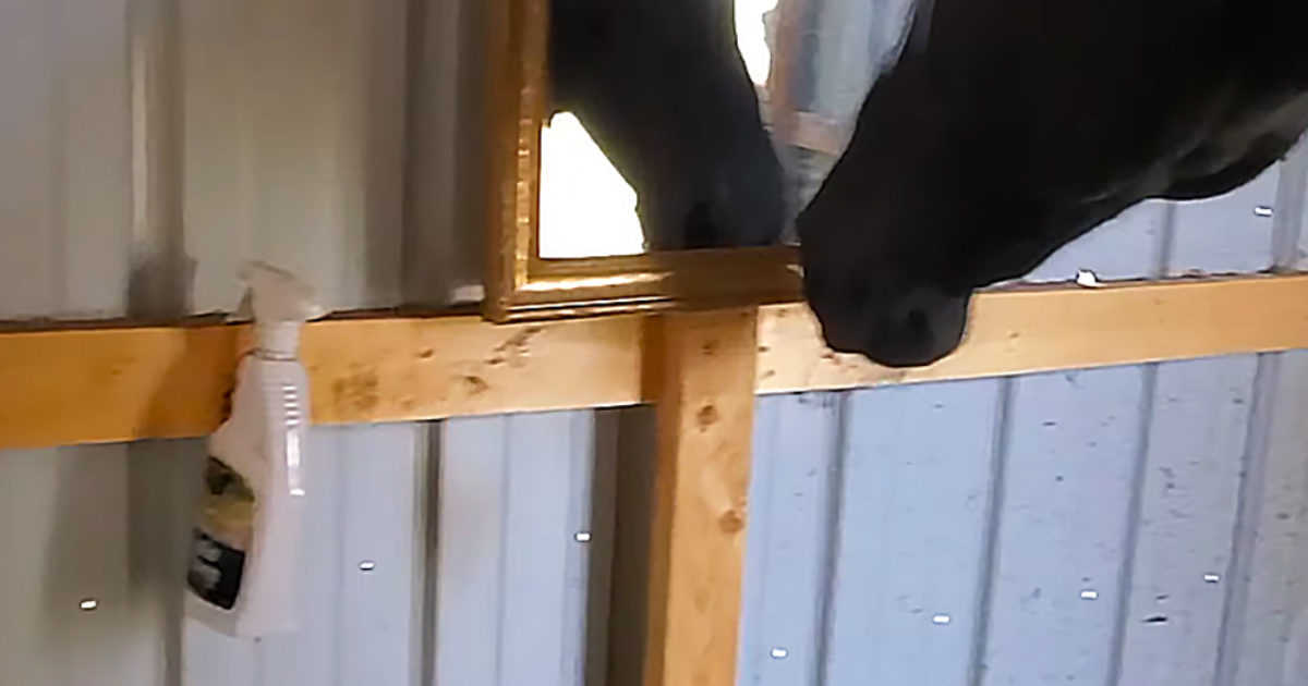 Pinterest Hidden Image