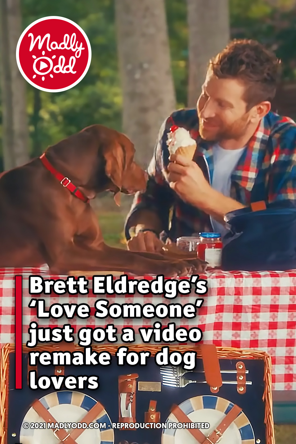 Brett Eldredge’s ‘Love Someone’ just got a video remake for dog lovers