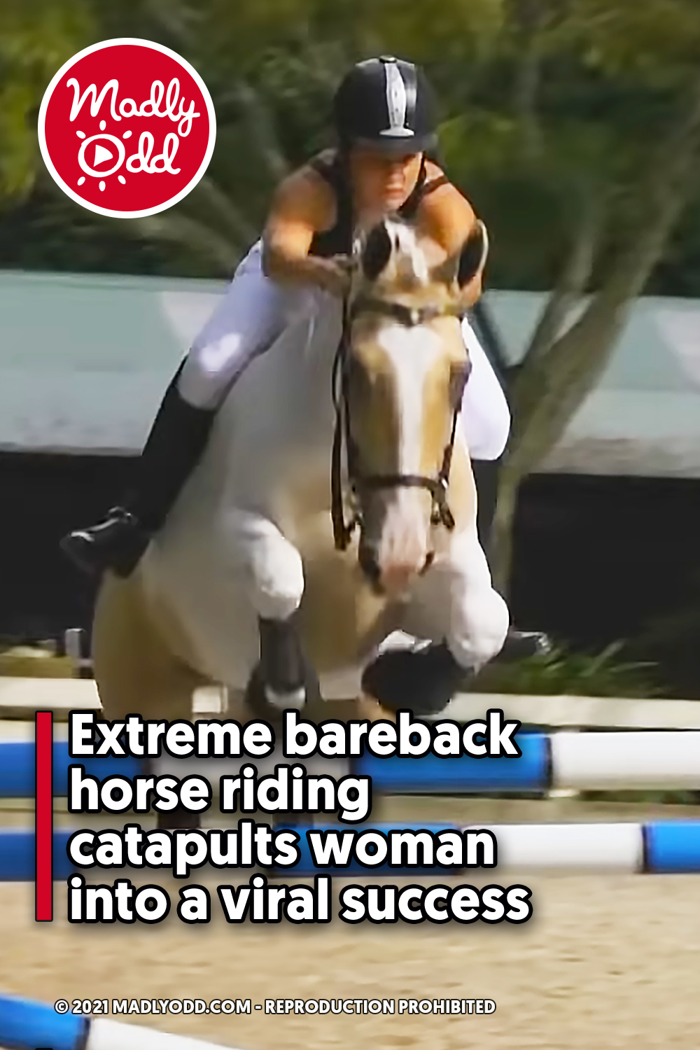 Extreme bareback horse riding catapults woman into a viral success