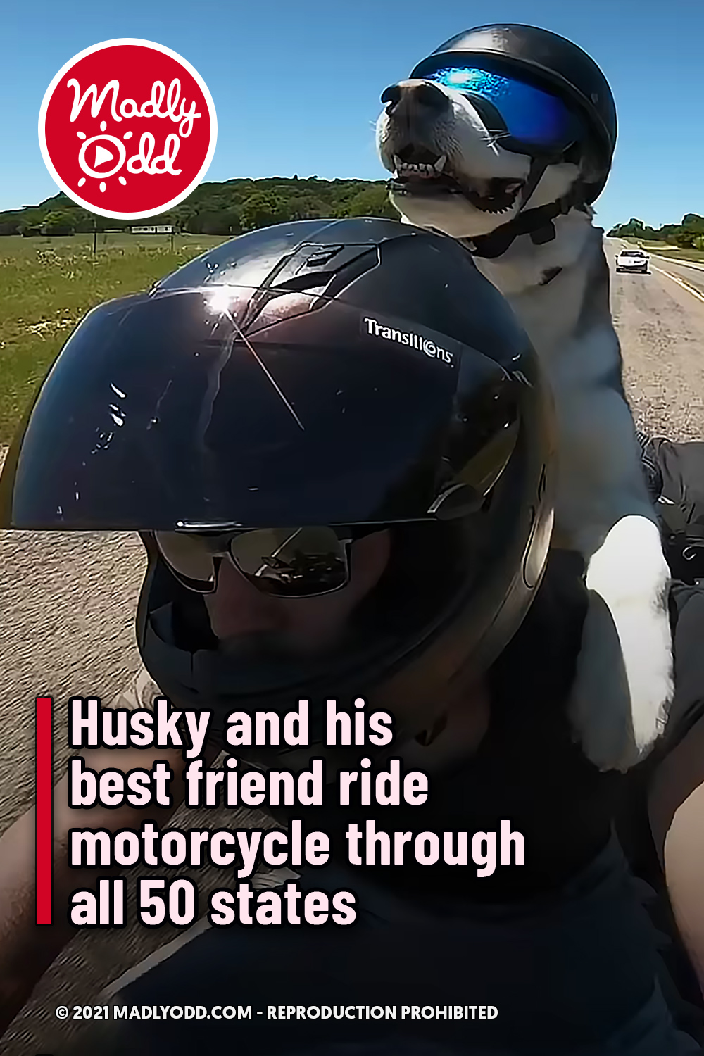 Husky and his best friend ride motorcycle through all 50 states