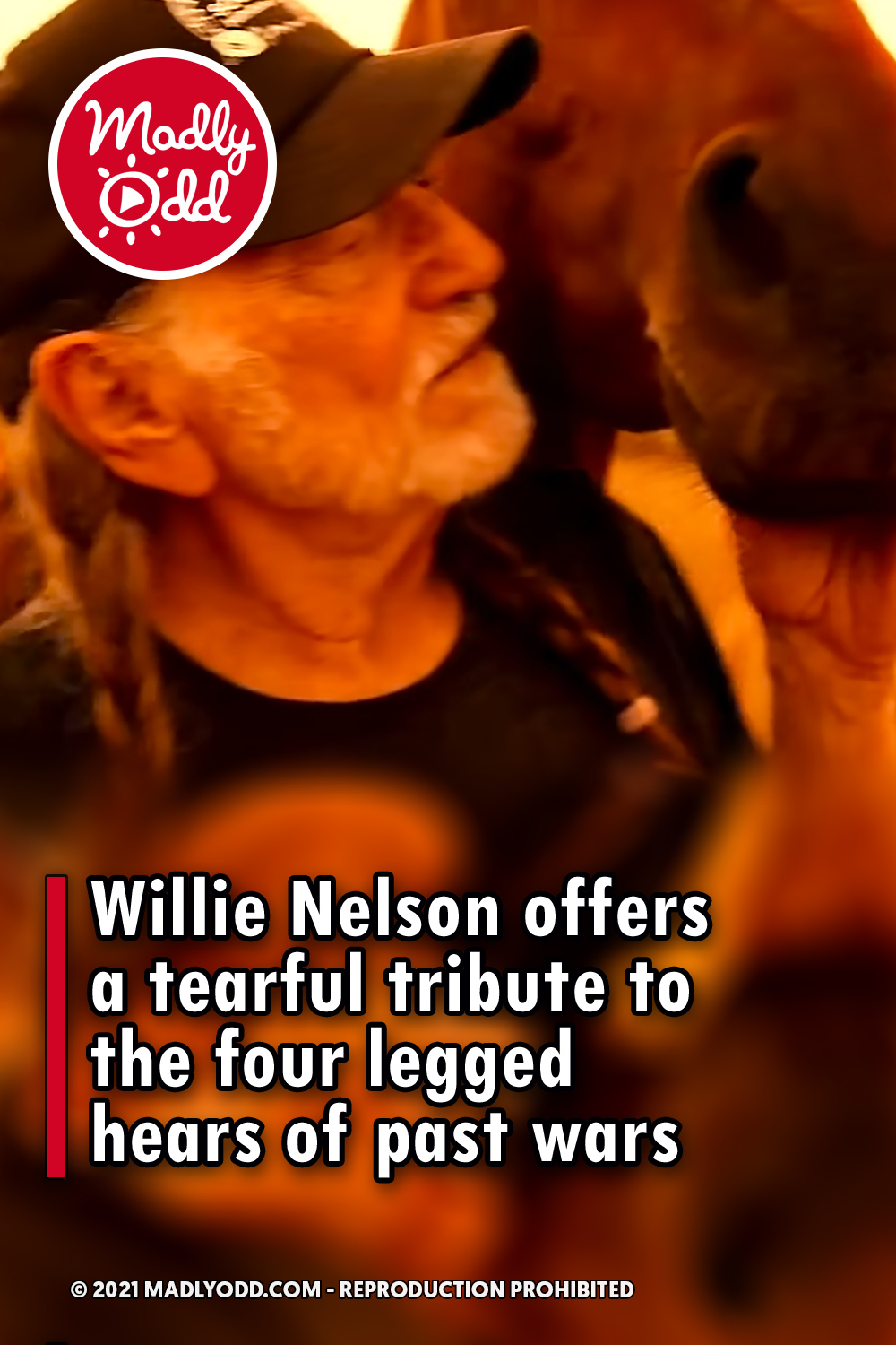 Willie Nelson offers a tearful tribute to the four legged hears of past wars