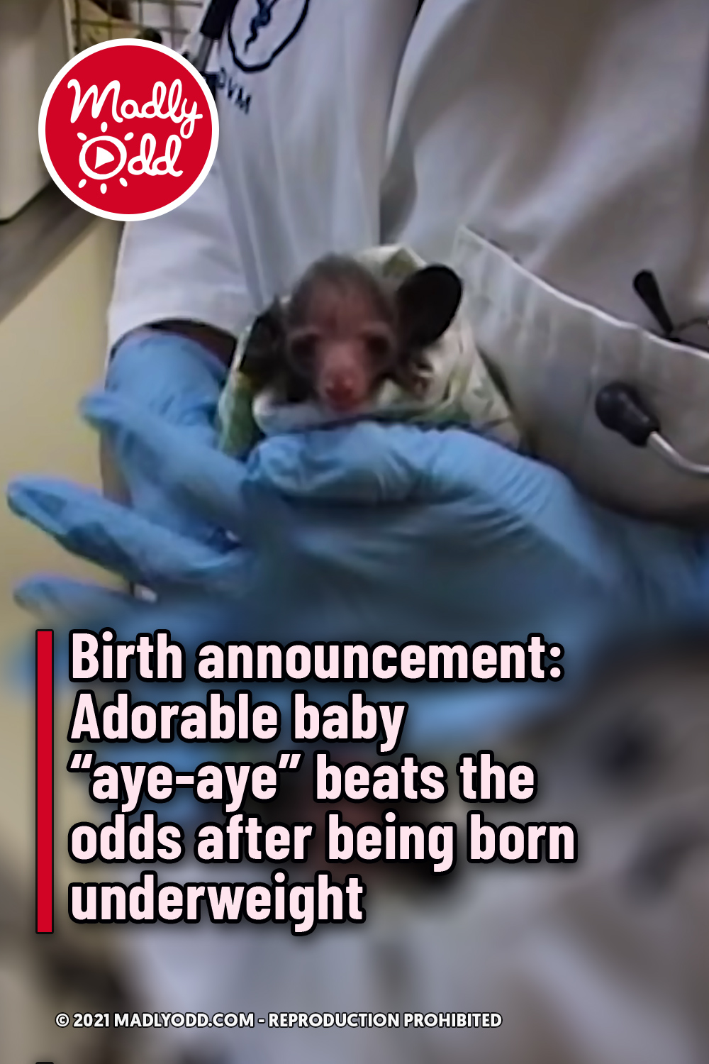Birth announcement: Adorable baby \