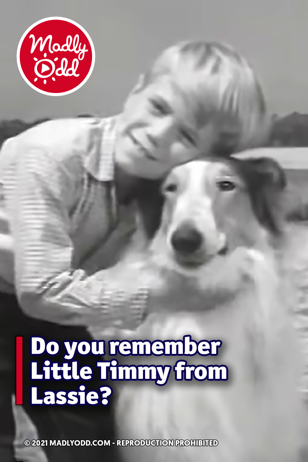 Do you remember Little Timmy from Lassie?