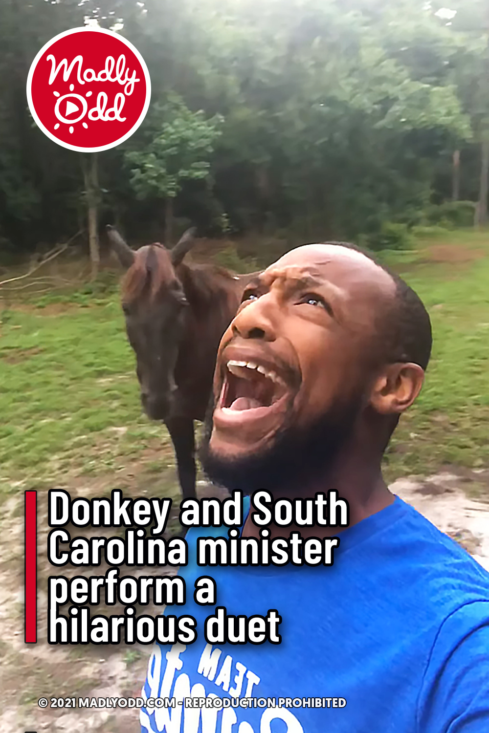 Donkey and South Carolina minister perform a hilarious duet