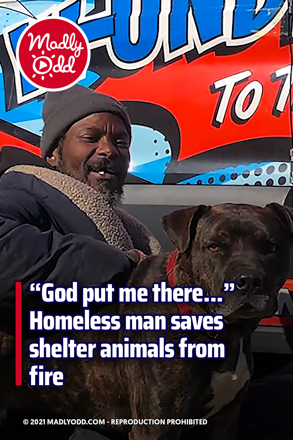 “God put me there...” Homeless man saves shelter animals from fire