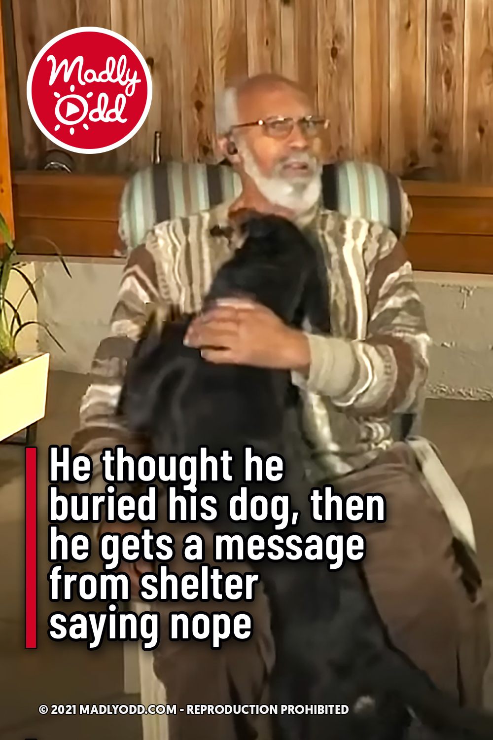 He thought he buried his dog, then he gets a message from shelter saying nope