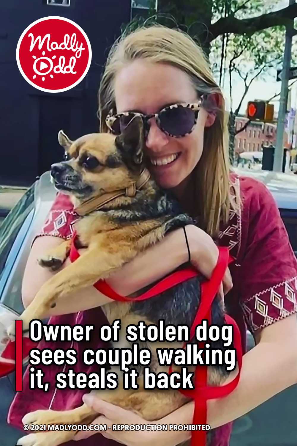Owner of stolen dog  sees couple walking it, steals it back