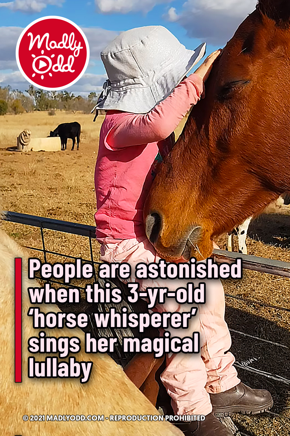 People are astonished when this 3-yr-old ‘horse whisperer’ sings her magical lullaby
