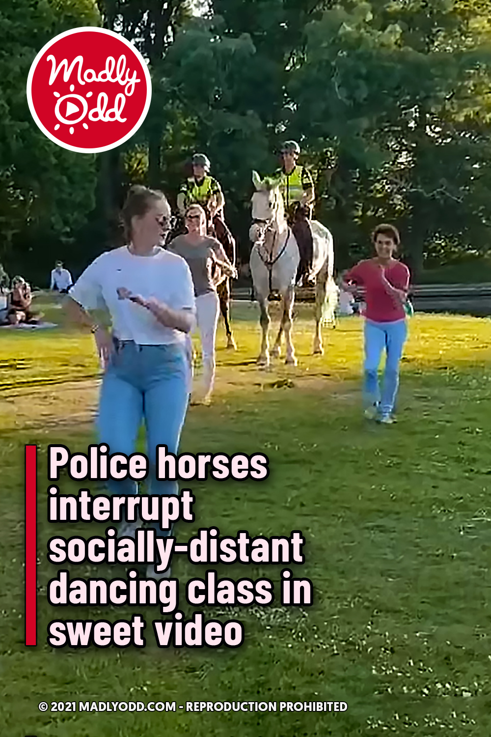 Police horses interrupt socially-distant dancing class in sweet video
