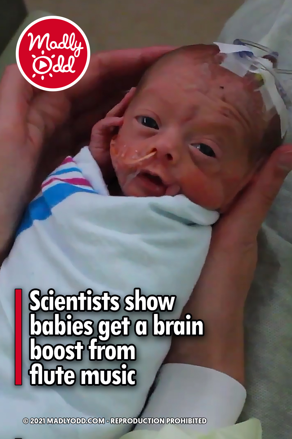 Scientists show babies get a brain boost from flute music
