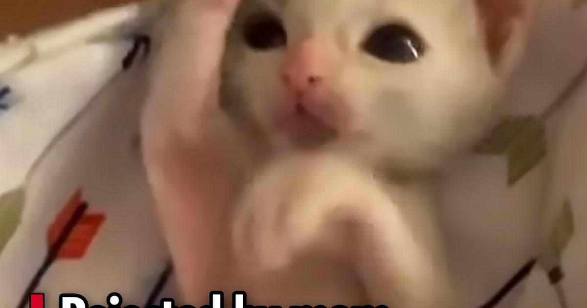 Pinterest Hidden Image