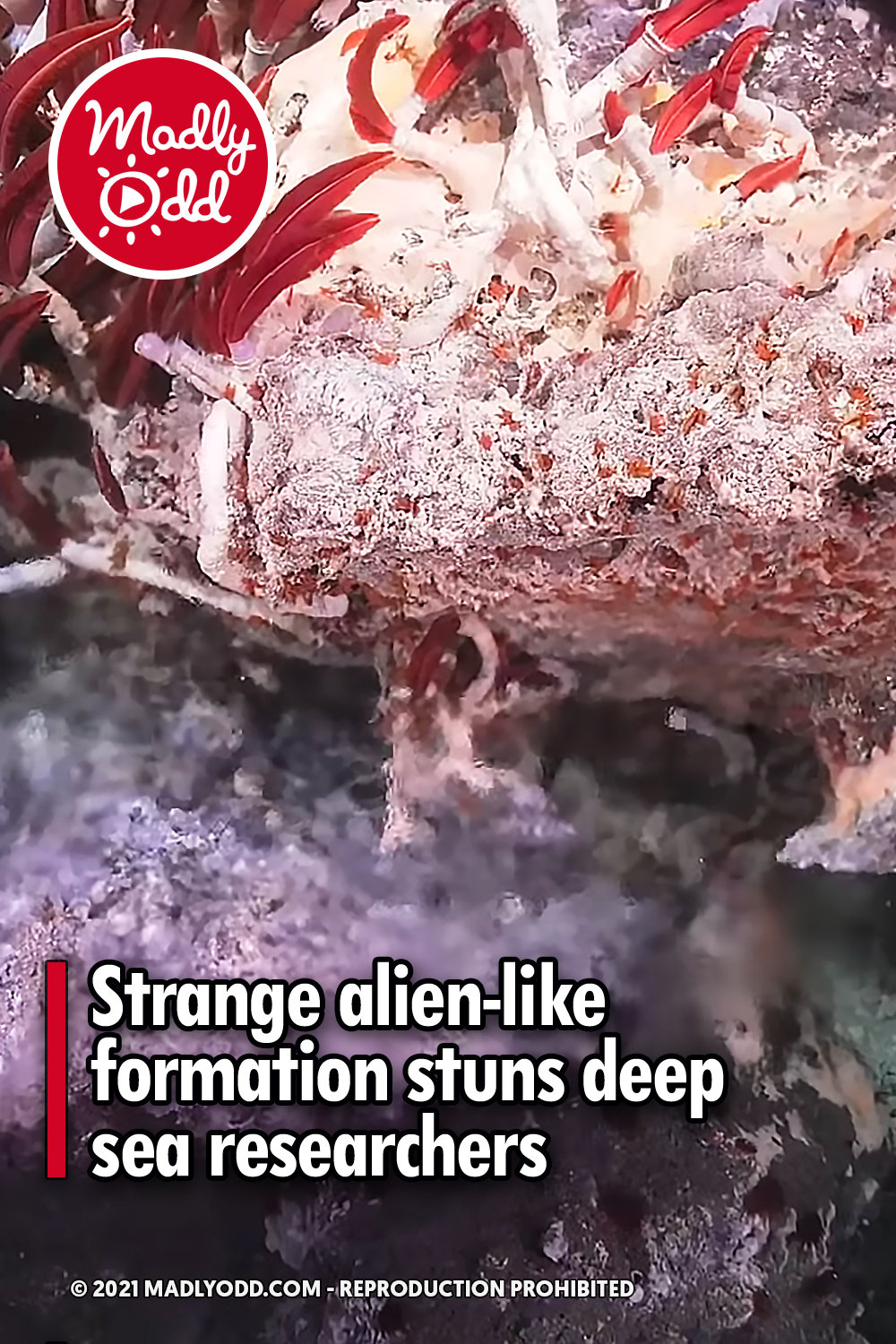 Strange alien-like formation stuns deep sea researchers