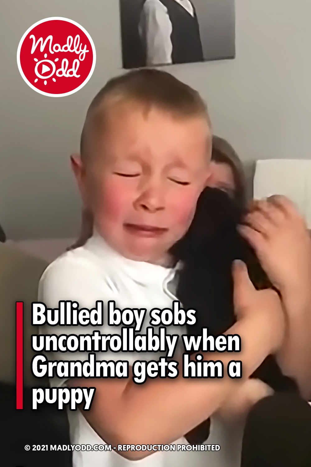 Bullied boy sobs uncontrollably when Grandma gets him a puppy