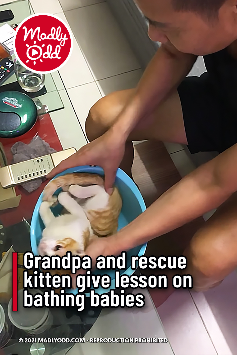 Grandpa and rescue kitten give lesson on bathing babies