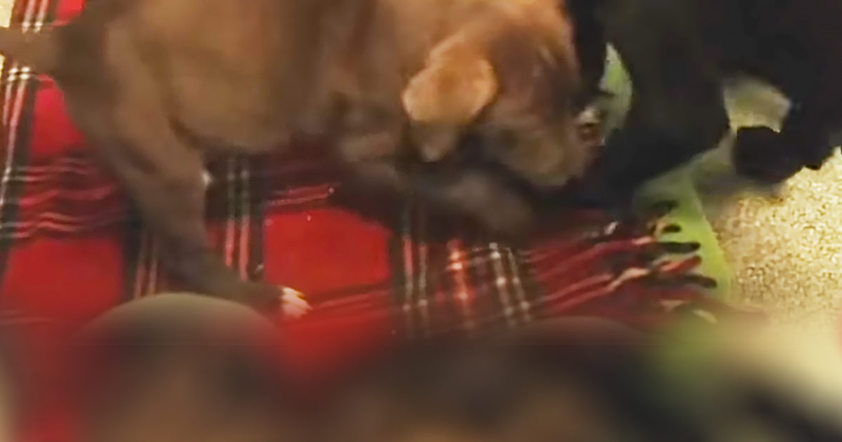 Pinterest Hidden Image