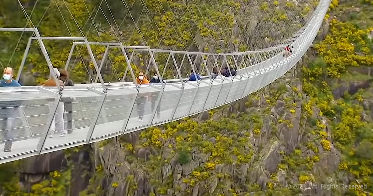 World’s longest walking bridge will leave you breathless Madly Odd!