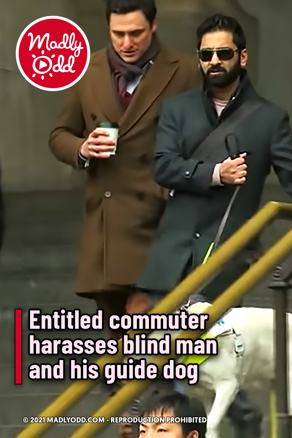 Entitled commuter harasses blind man and his guide dog
