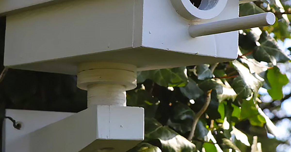 Pinterest Hidden Image