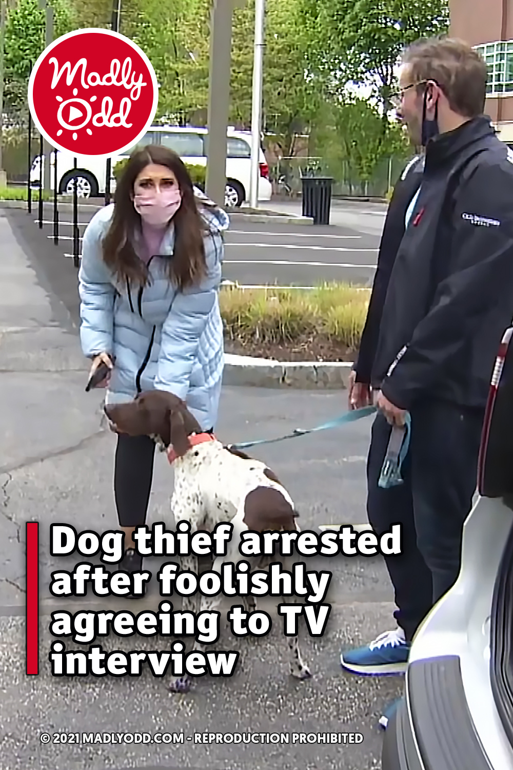 Dog thief arrested after foolishly agreeing to TV interview
