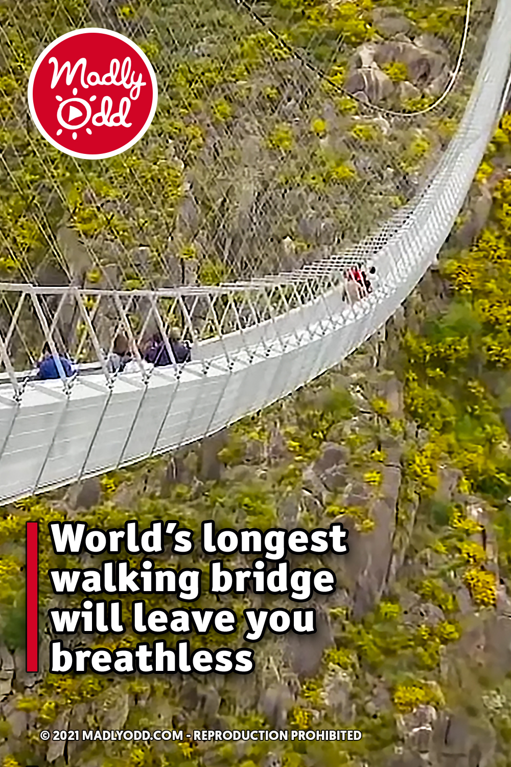 World’s longest walking bridge will leave you breathless