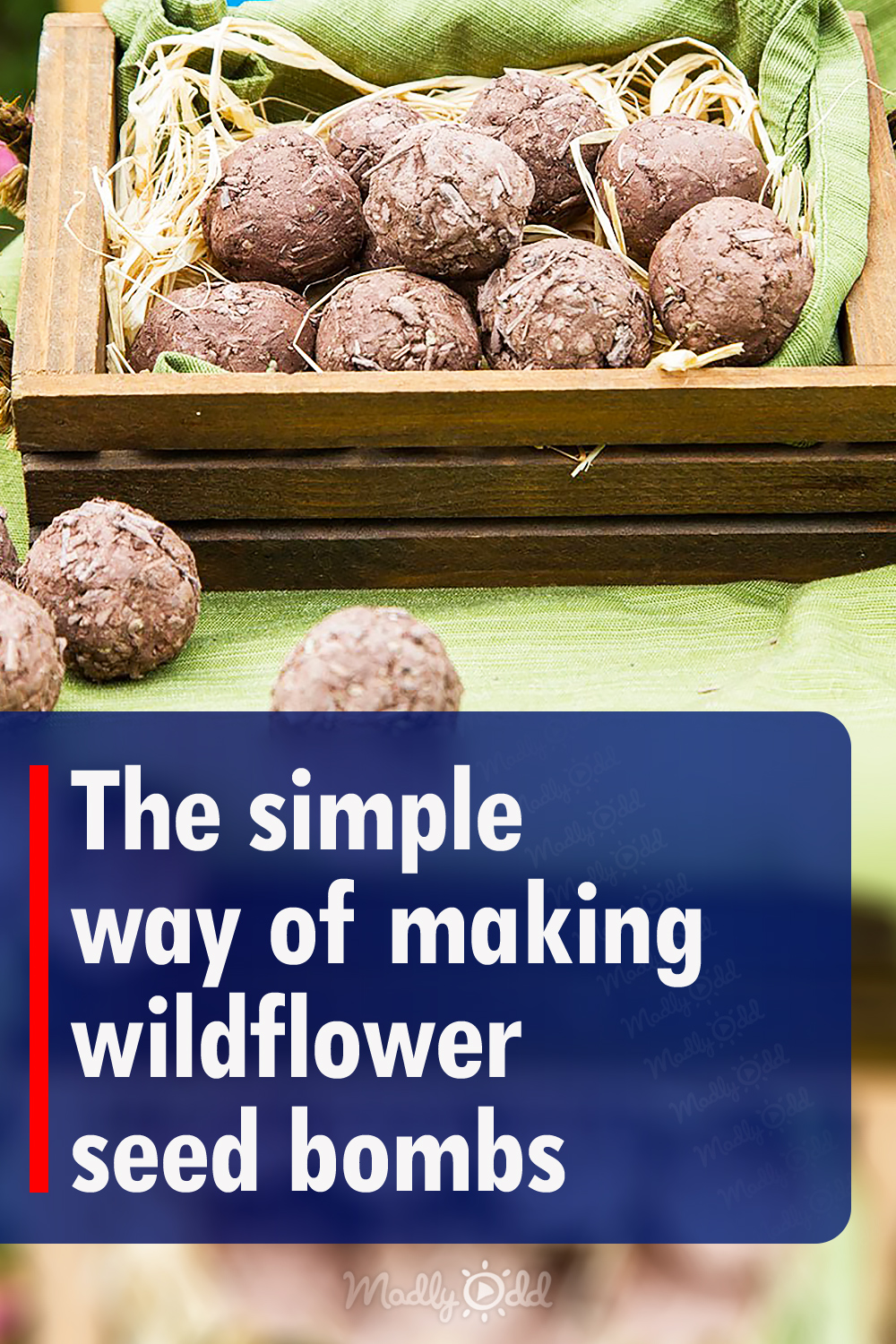 The simple way of making wildflower seed bombs