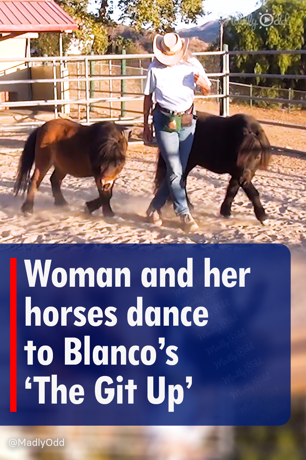 Woman and her horses dance to Blanco’s \'The Git Up\'