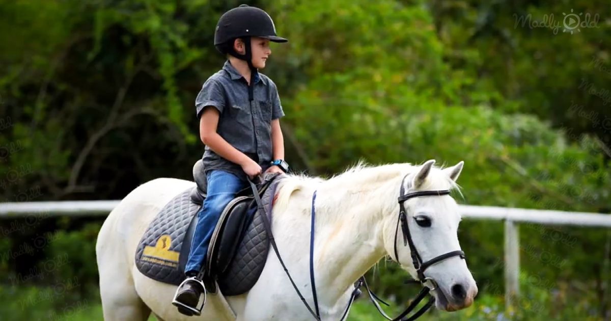 Boy saves thousands to buy a pony