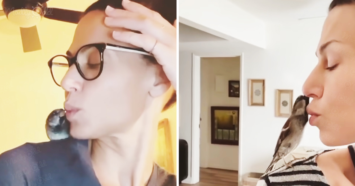 Happy the adorable sparrow