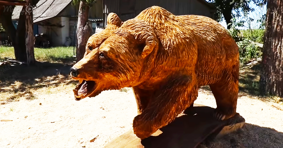 Wood carver sculpts life-like wooden bear