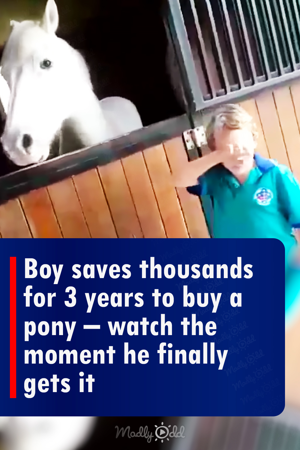 Boy saves thousands for 3 years to buy a pony – watch the moment he finally gets it