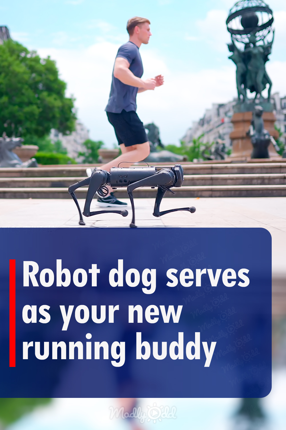 Robot dog serves as your new running buddy