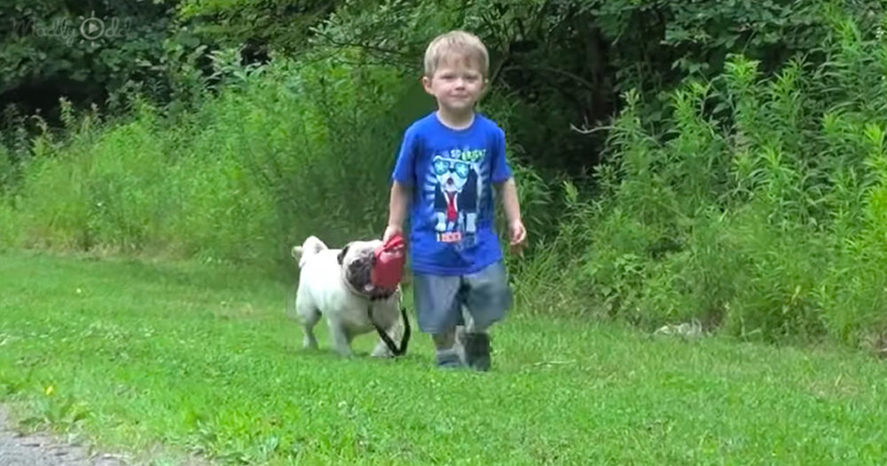 Little boy walking his dog