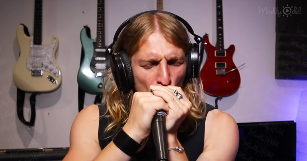 &lsquo;Freebird&rsquo; played on harmonica