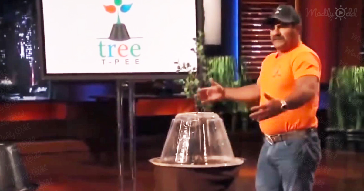 Man pitches his late dad&rsquo;s dream to &lsquo;Shark Tank&rsquo;