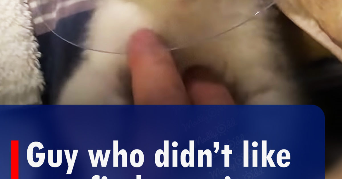 Pinterest Hidden Image