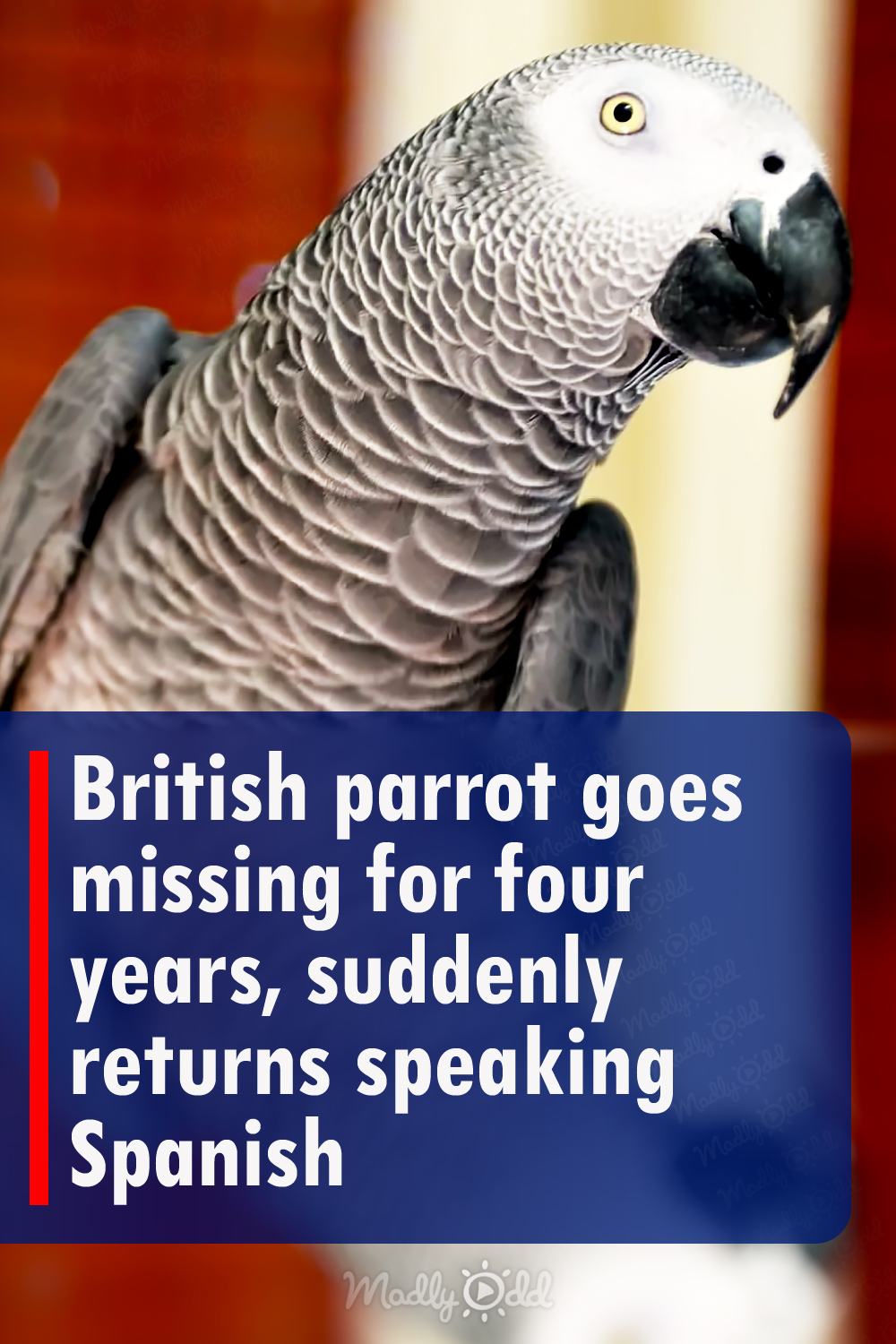 Pinterest Hidden Image