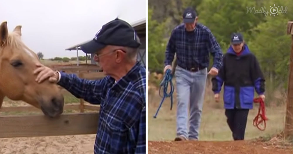 Larry and Peggy with rescued horses