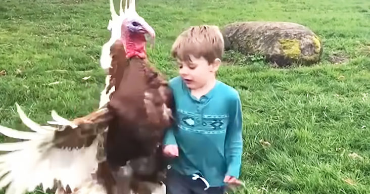 Turkey and kid