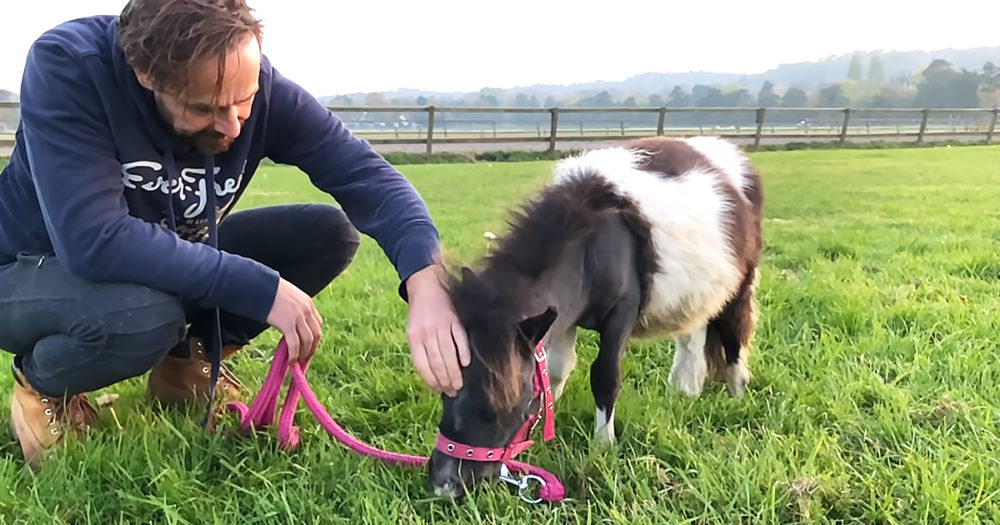 Alwyn Wils and his horse