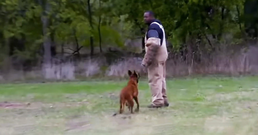 America&rsquo;s K9 Training